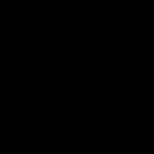 Meet your Posher, Lisbeth